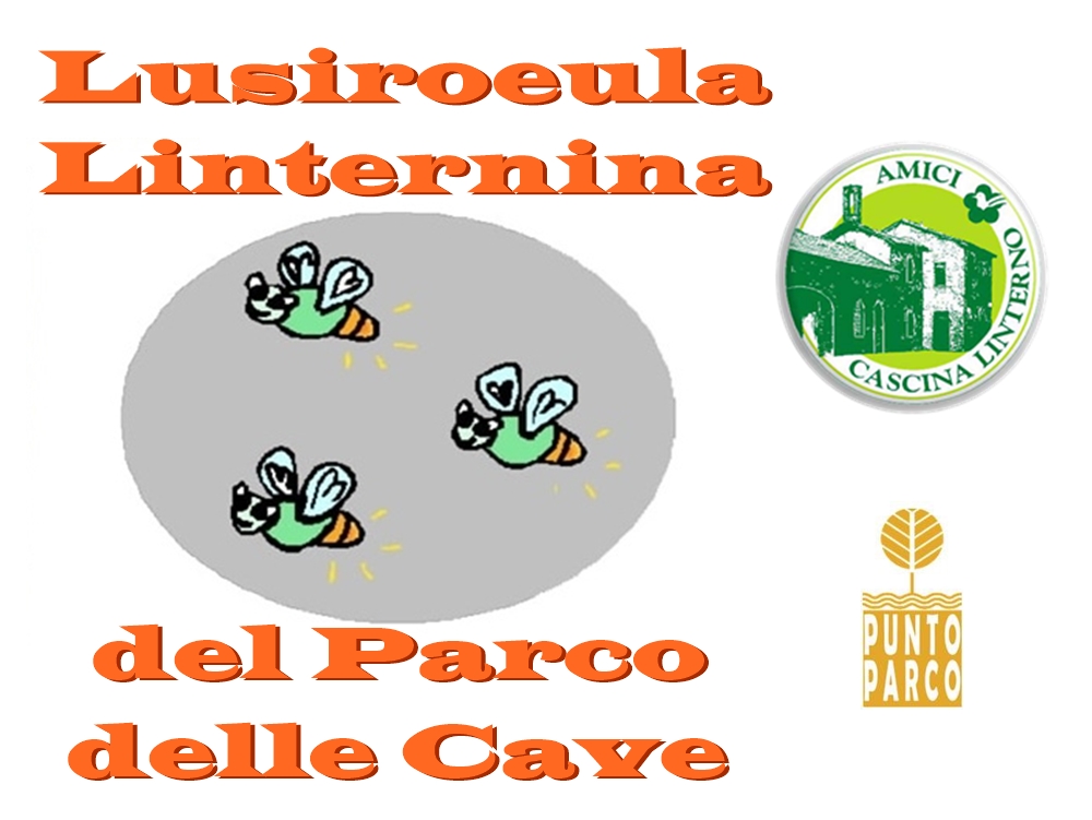 Lusiroeula Linternina del Parco delle Cave
